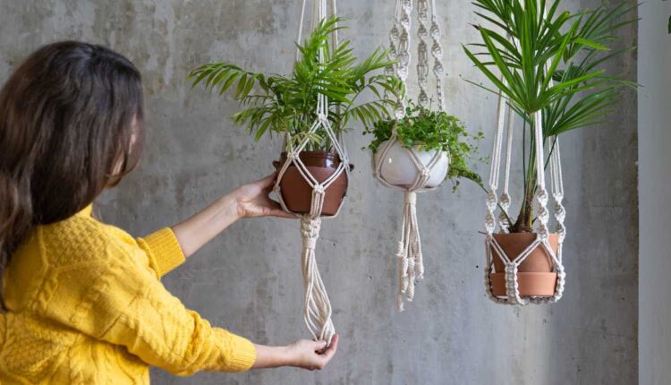 3 Erros que Estão Matando Suas Plantas sem Você Perceber
